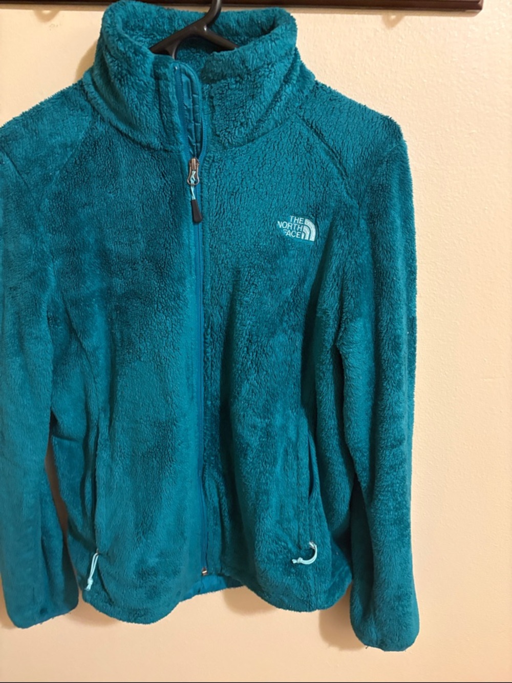 The North Face Teal Plush Full-Zip womens Fleece Jacket Ossito